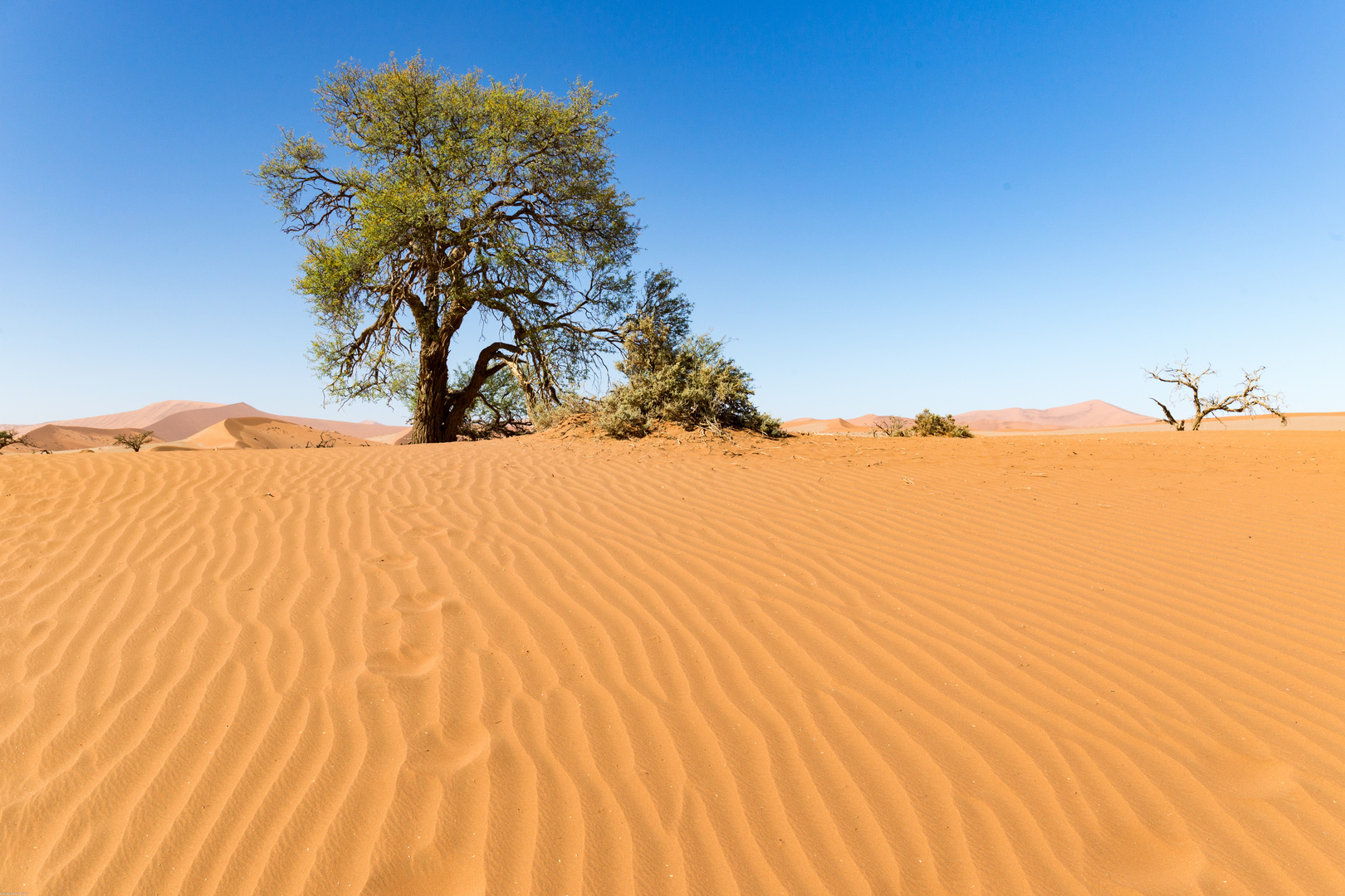 Sossusvlei am Vormittag