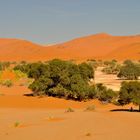 Sossusvlei