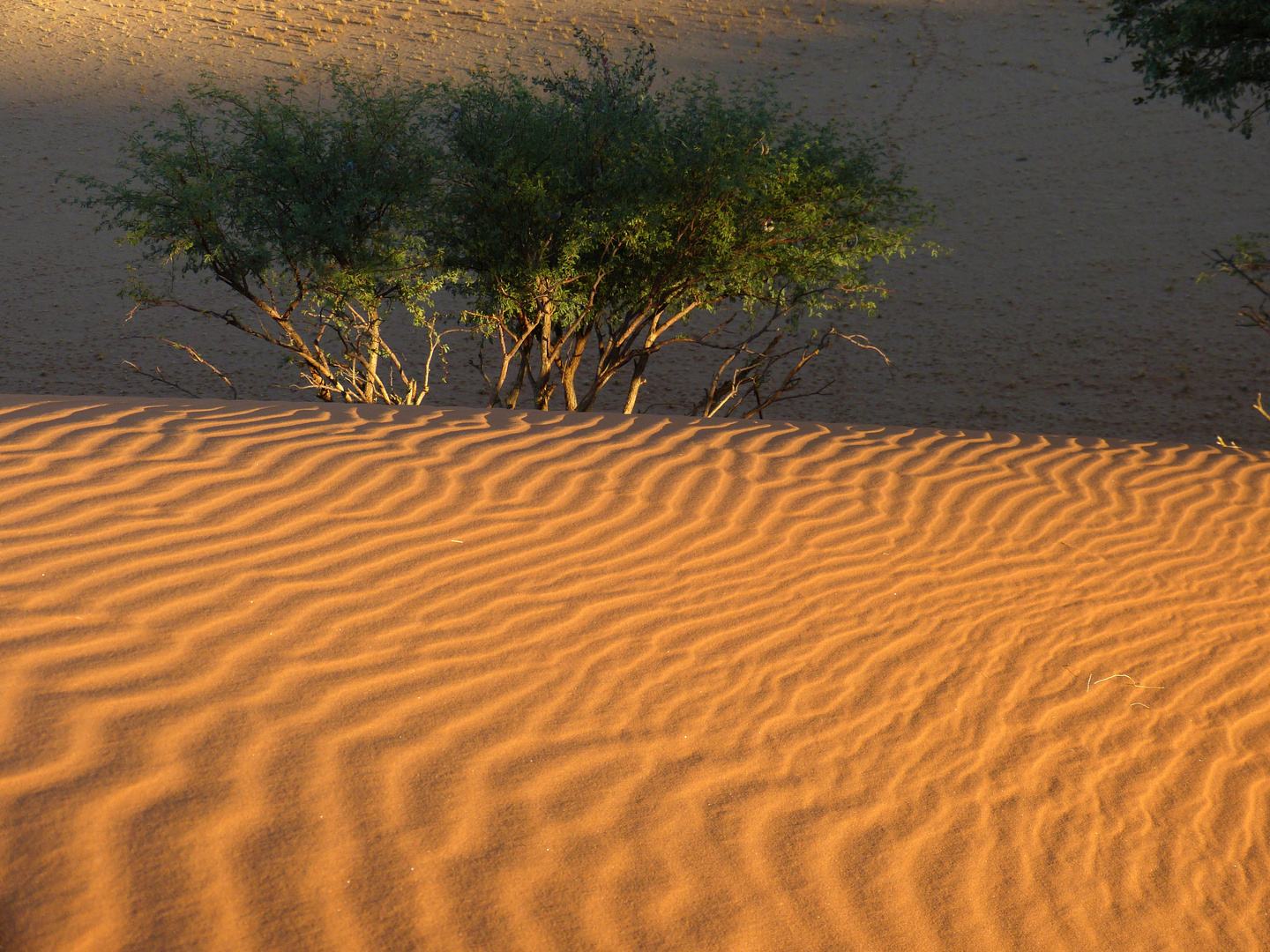 Sossusvlei