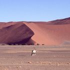 Sossusvlei