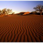 Sossusvlei