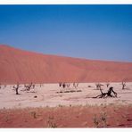 Sossusvlei