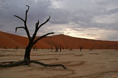 Sossusvlei bei Sonnenaufgang