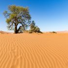 Sossusvlei