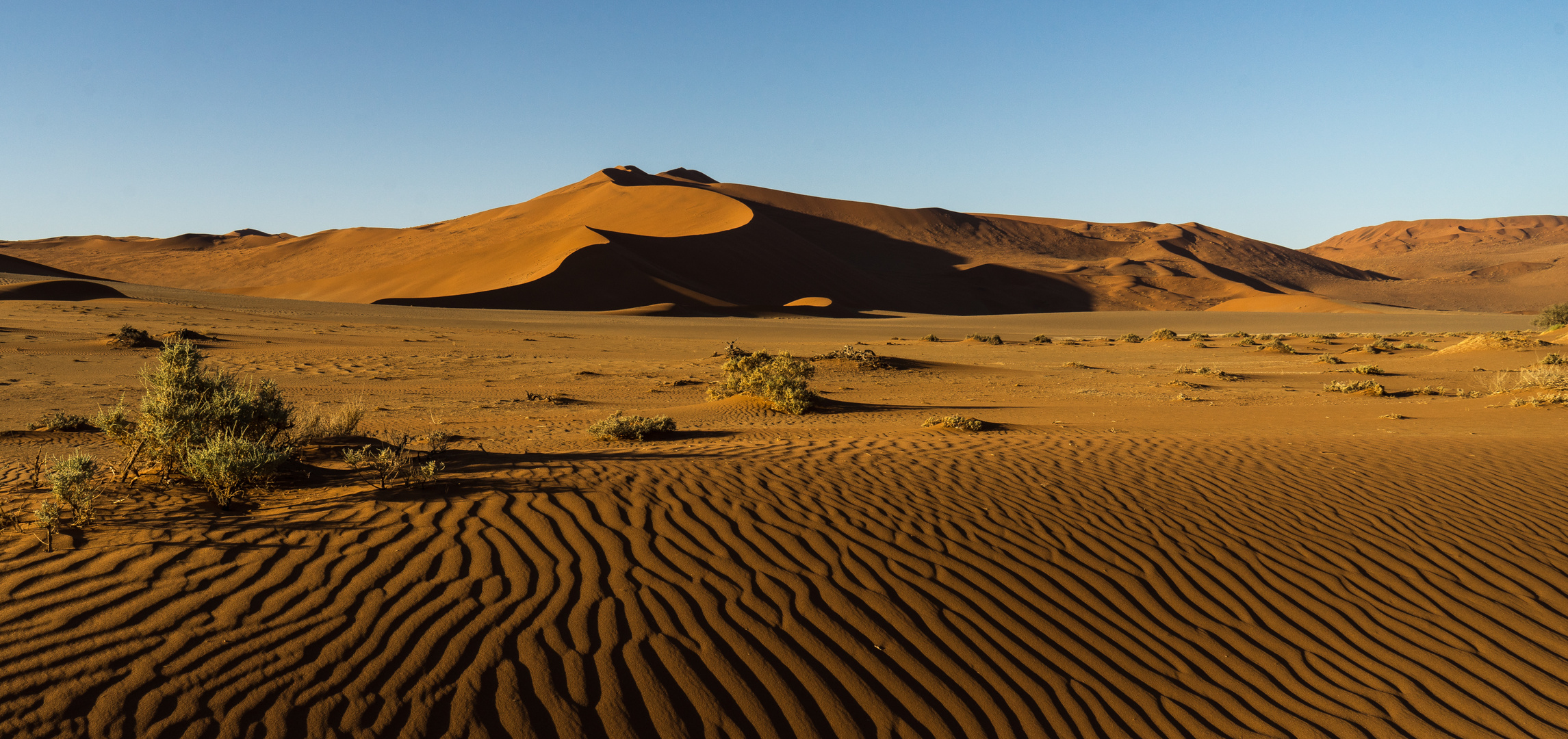 Sossusvlei - das letzte Licht