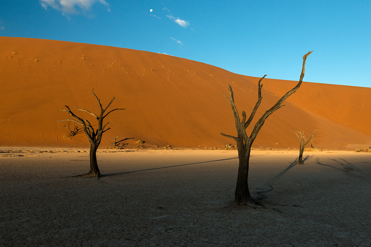 Sossusvlei, Dead Vlei, Namibia