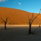 Sossusvlei, Dead Vlei, Namibia