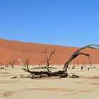 Sossusvlei Death Vlei