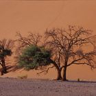 Sossusvlei