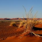 SOSSUSVLEI . ( Désert du NAMIB)