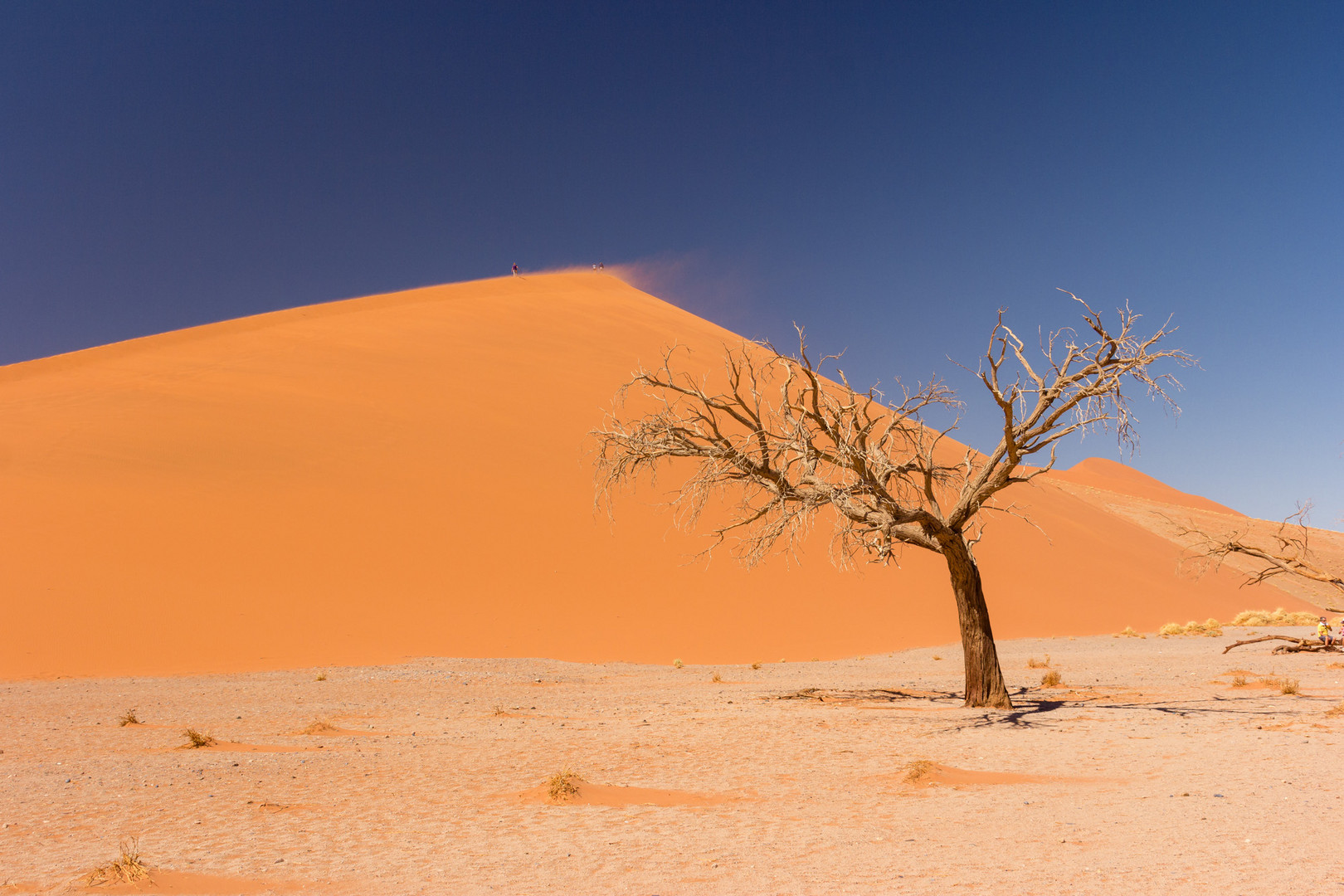 Sossusvlei, Düne 45