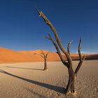 Sossusvlei Dünen und das Dead Vlei