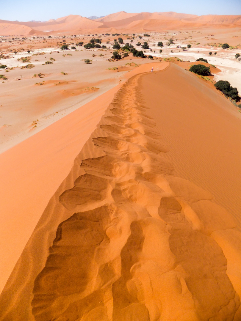 Sossusvlei Dünenkamm - Namibia