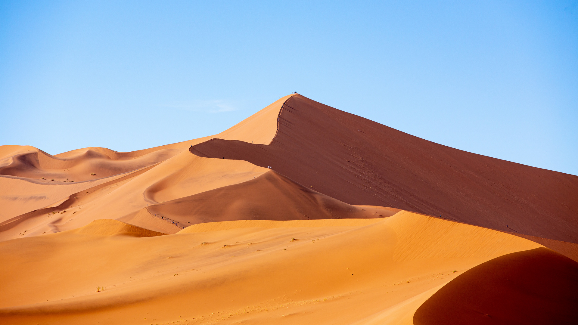 Sossusvlei Dune