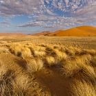 Sossusvlei Dunes