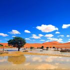 Sossusvlei