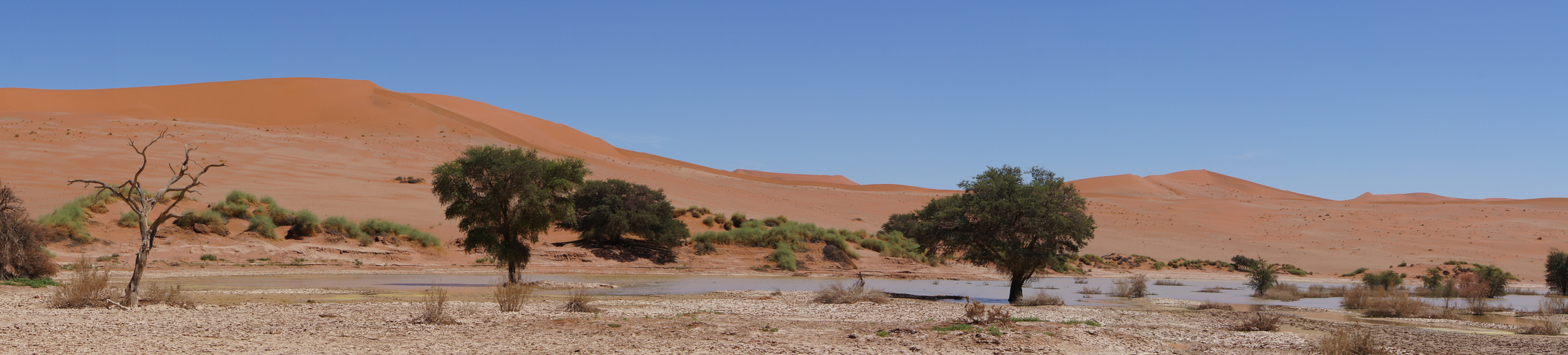 Sossusvlei