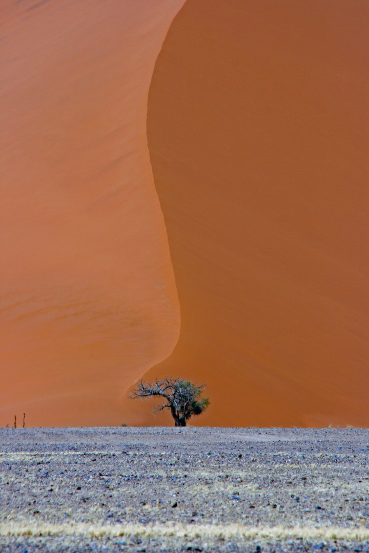 Sossusvlei