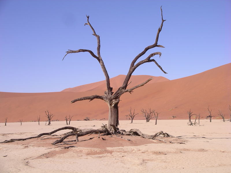 Sossusvlei