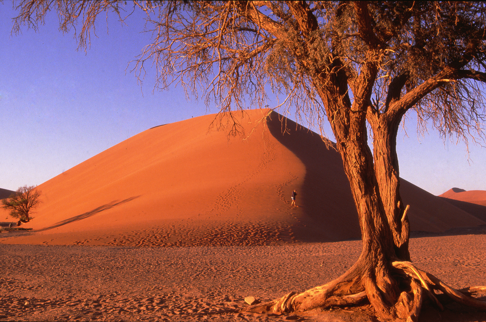 Sossusvlei