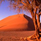 Sossusvlei