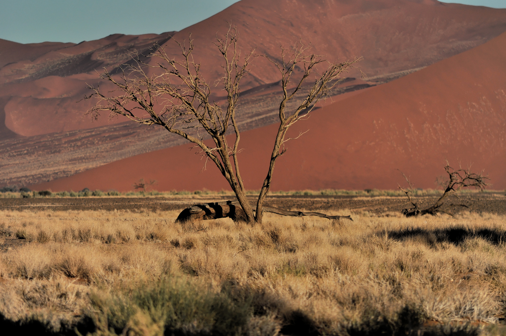 Sossusvlei