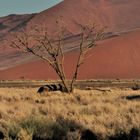 Sossusvlei