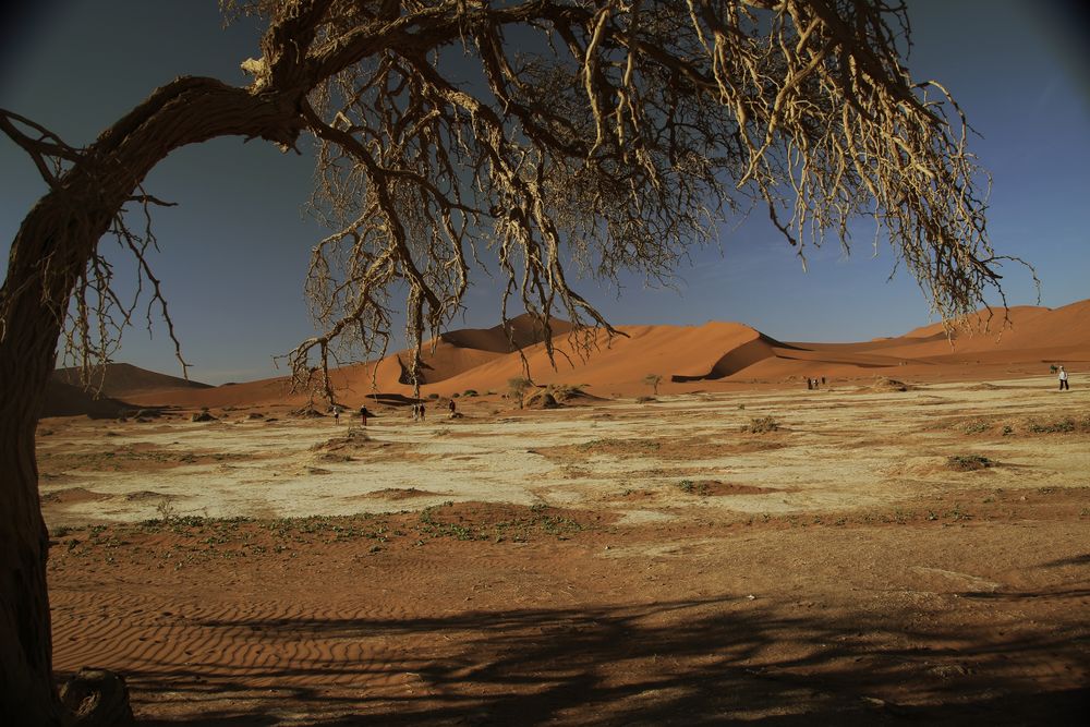 Sossusvlei 