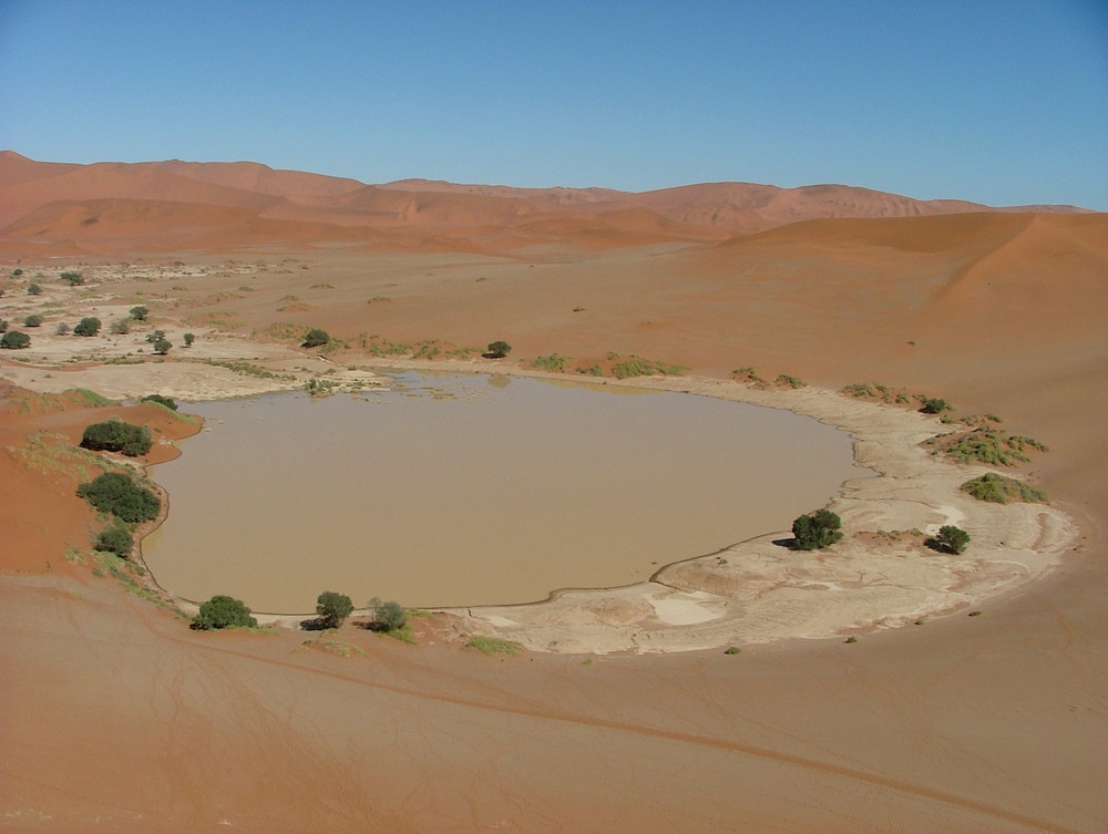 Sossusvlei, gefüllt mit Wasser