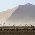 Sossusvlei gegen Mittag