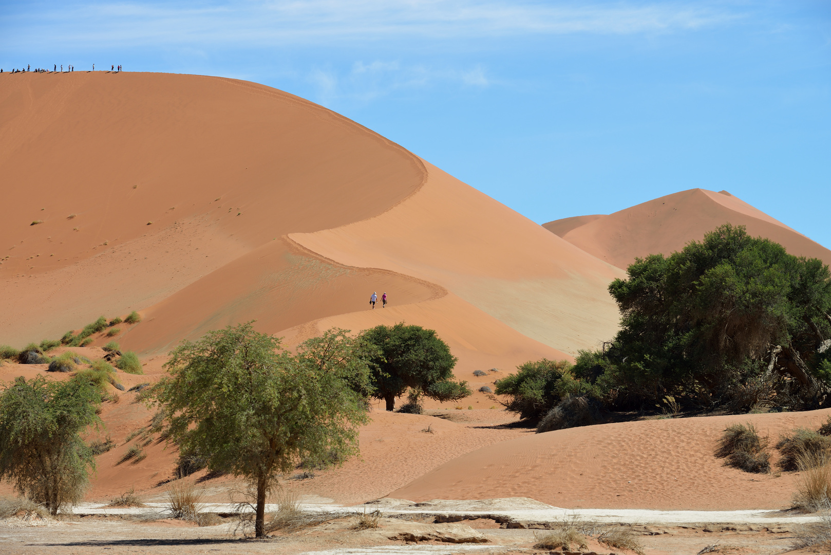 Sossusvlei: Große Düne / kleine Menschen