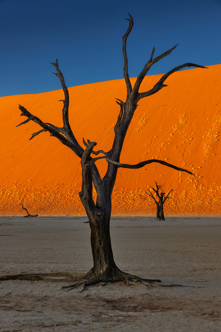 ~ SOSSUSVLEI III ~