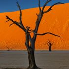 ~ SOSSUSVLEI III ~