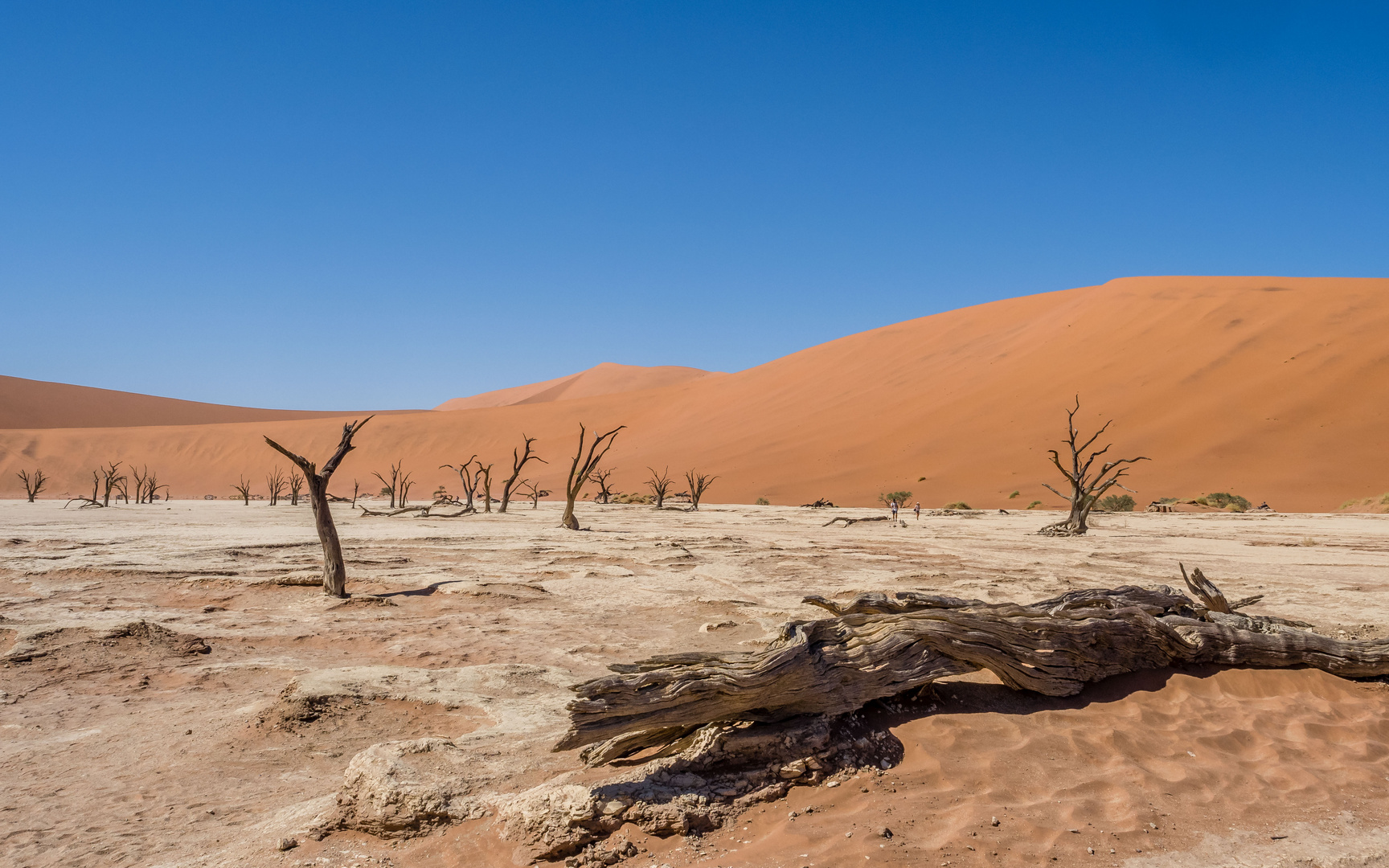 Sossusvlei: im Deadvlei