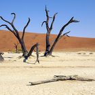 Sossusvlei in Namibia