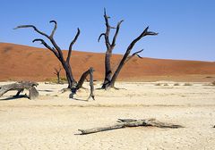 Sossusvlei in Namibia