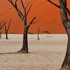 Sossusvlei in Namibia