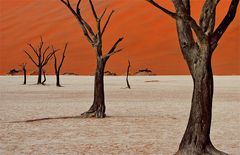 Sossusvlei in Namibia