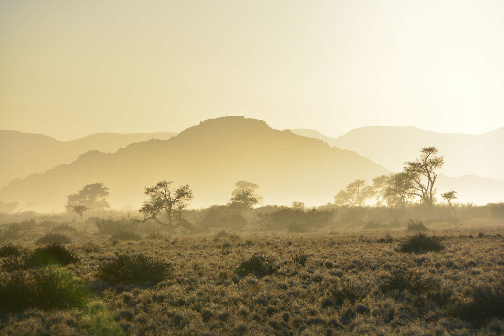 Sossusvlei Lodge morgens