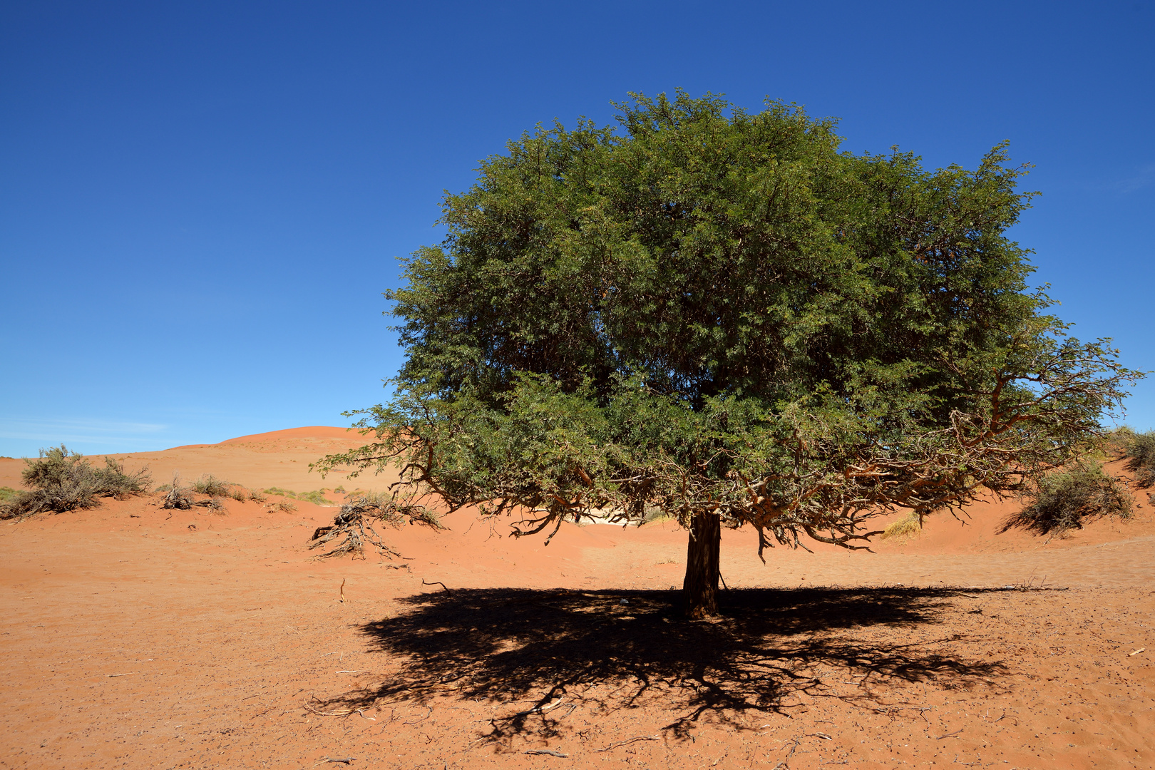 Sossusvlei: Mittagsschatten