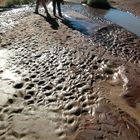 Sossusvlei nach dem großen Regen II