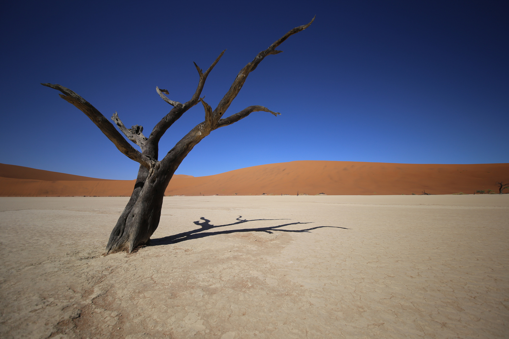 Sossusvlei Namib