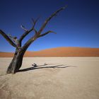 Sossusvlei Namib