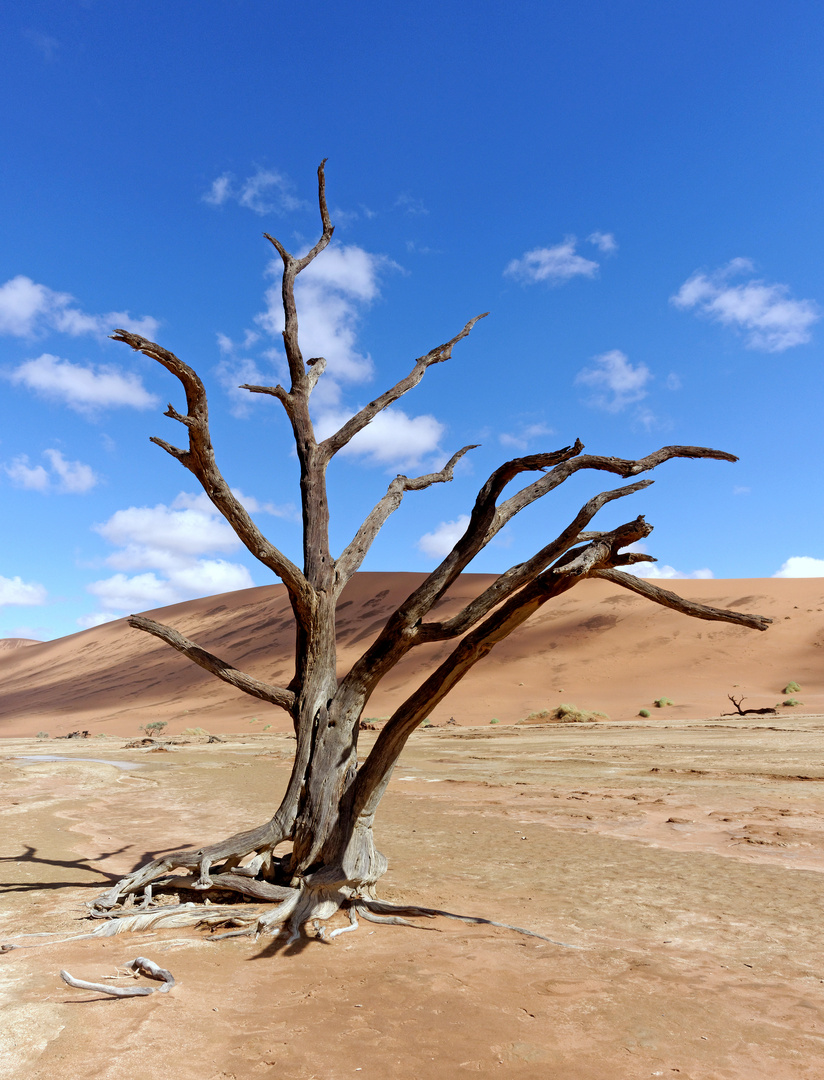 Sossusvlei-Namib Naukluft National Park