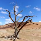 Sossusvlei-Namib Naukluft National Park