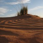 Sossusvlei - Namibia