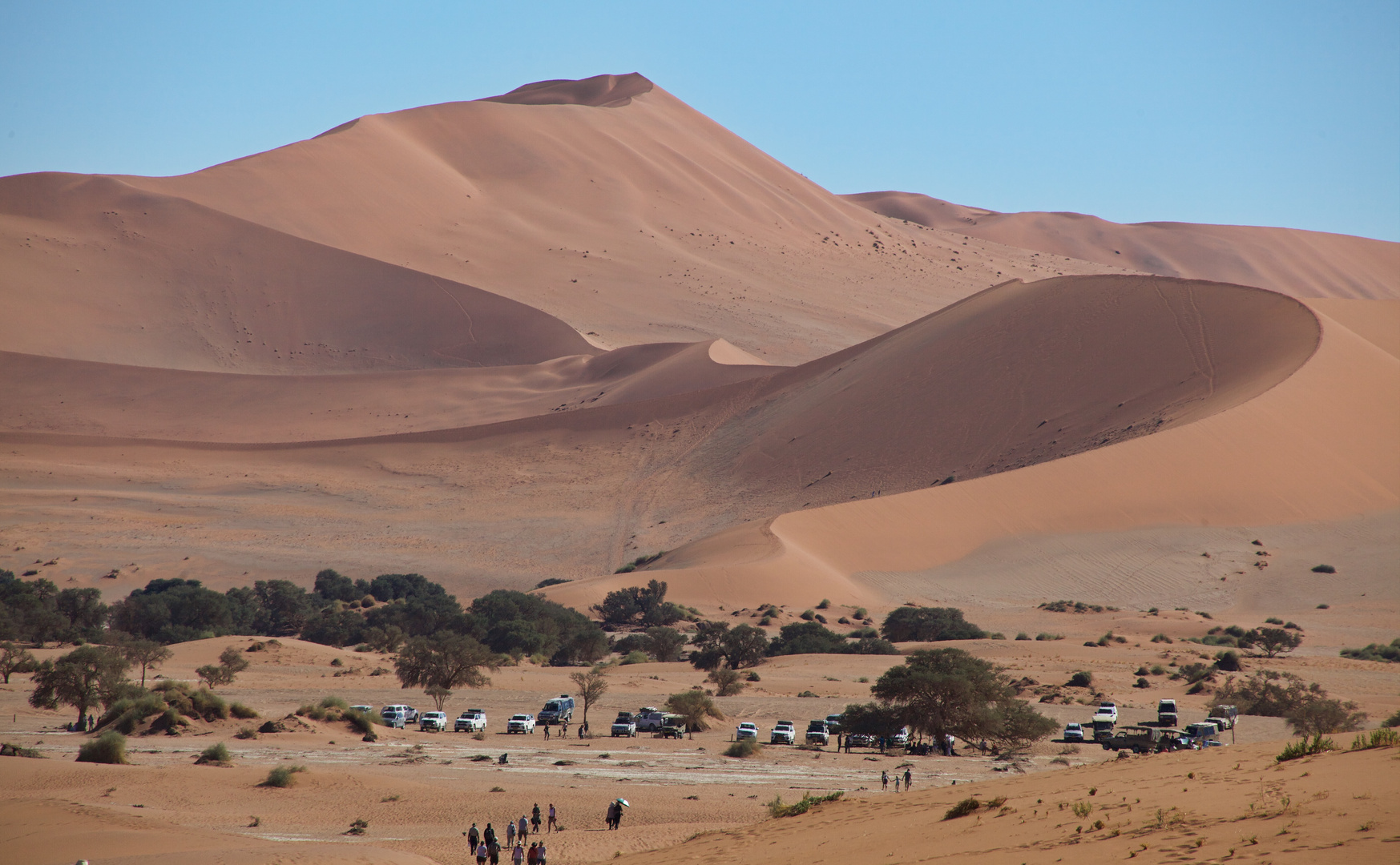 Sossusvlei  Namibia