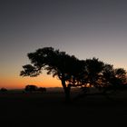 Sossusvlei, Namibia