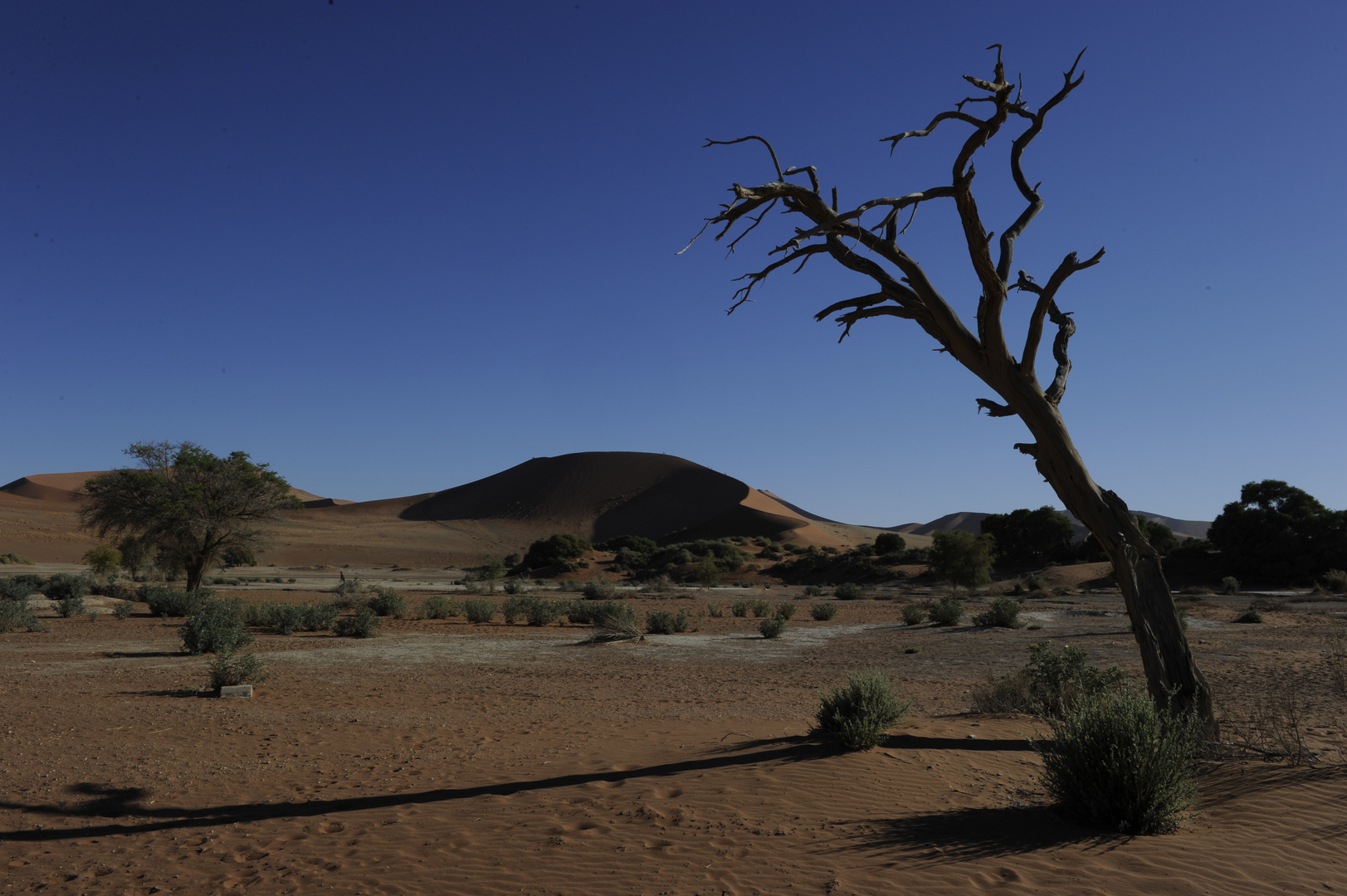 Sossusvlei, Namibia