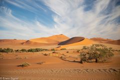 Sossusvlei (Namibia)